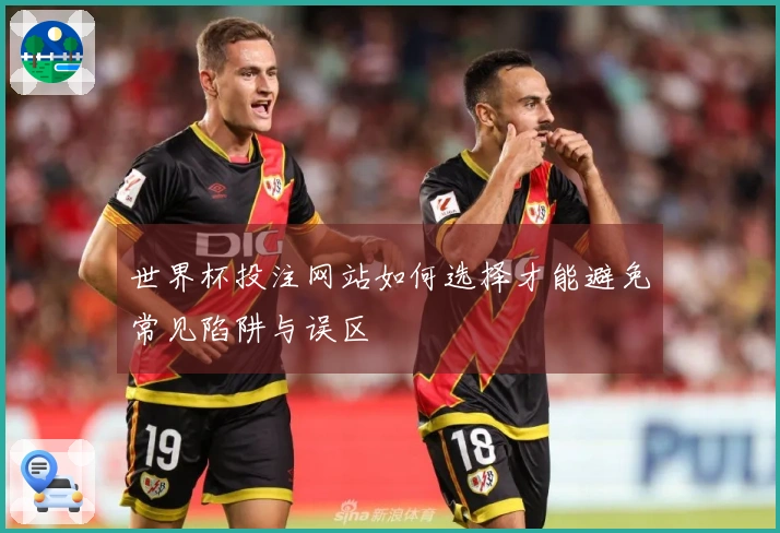 世界杯投注网站如何选择才能避免常见陷阱与误区
