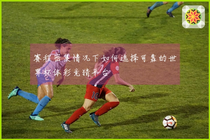 赛程密集情况下如何选择可靠的世界杯体彩竞猜平台