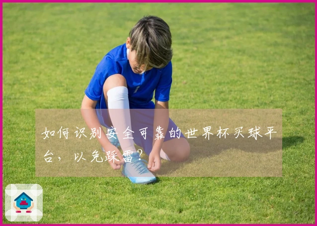 如何识别安全可靠的世界杯买球平台，以免踩雷？