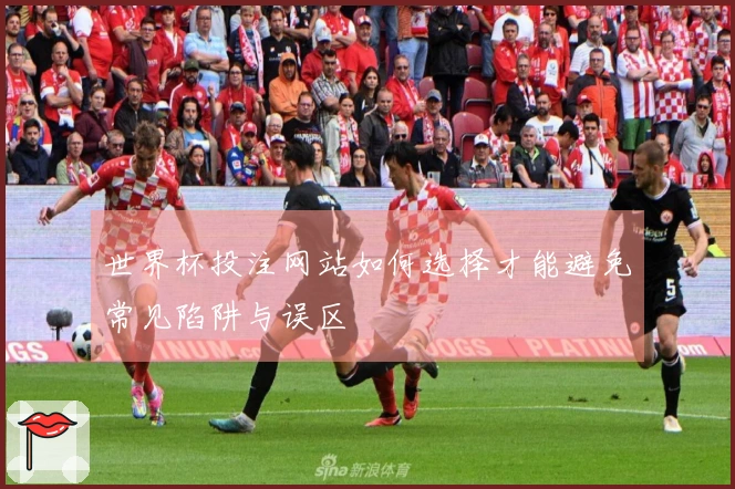 世界杯投注网站如何选择才能避免常见陷阱与误区