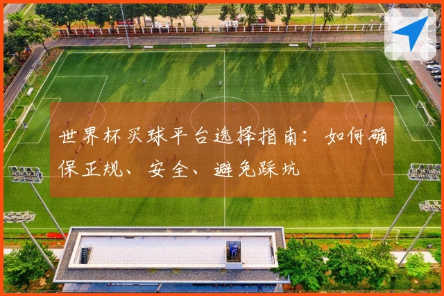 世界杯买球平台选择指南：如何确保正规、安全、避免踩坑