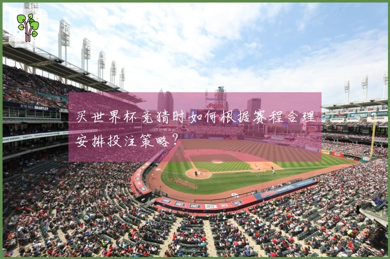 买世界杯竞猜时如何根据赛程合理安排投注策略？