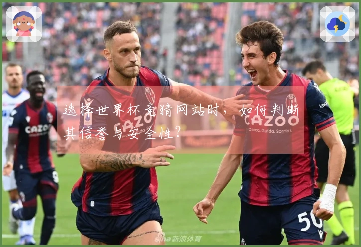 选择世界杯竞猜网站时，如何判断其信誉与安全性？