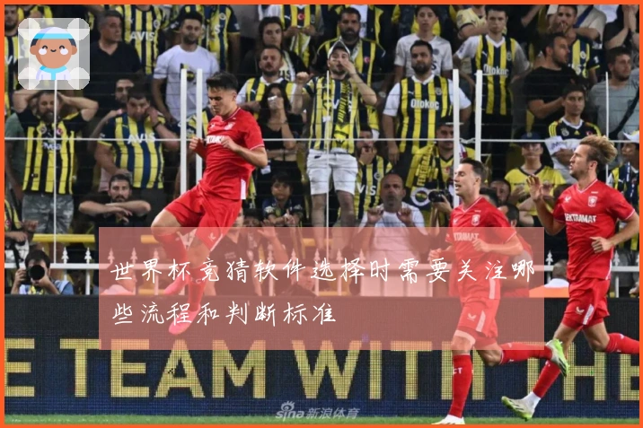 世界杯竞猜软件选择时需要关注哪些流程和判断标准