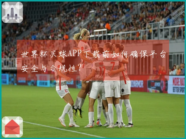 世界杯买球APP下载前如何确保平台安全与合规性？